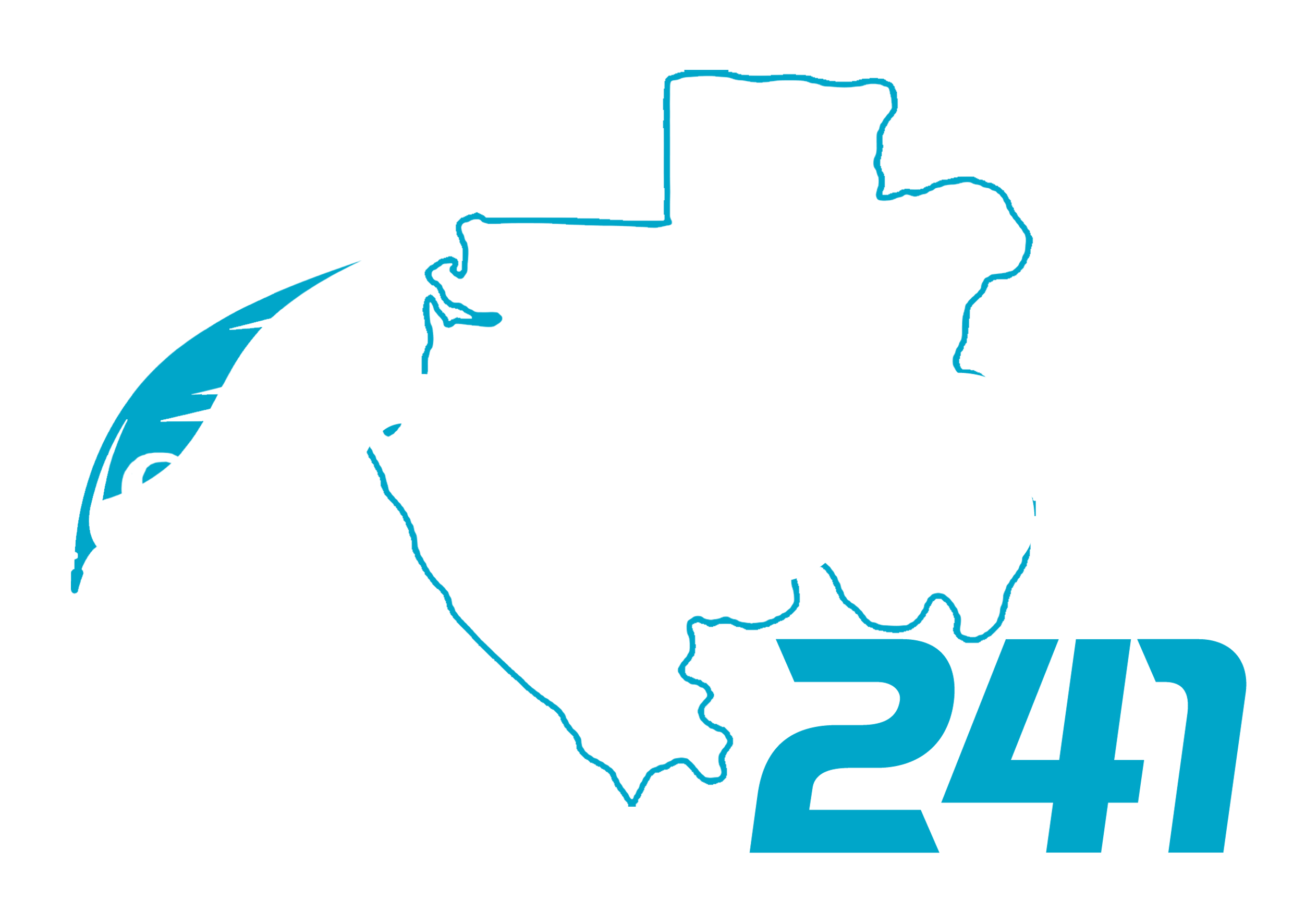 presse241.com